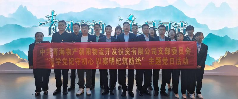 朝物開投公司黨支部召開&ldquo;深學(xué)黨紀守初心 以案明紀筑防線&rdquo;主題黨日活動